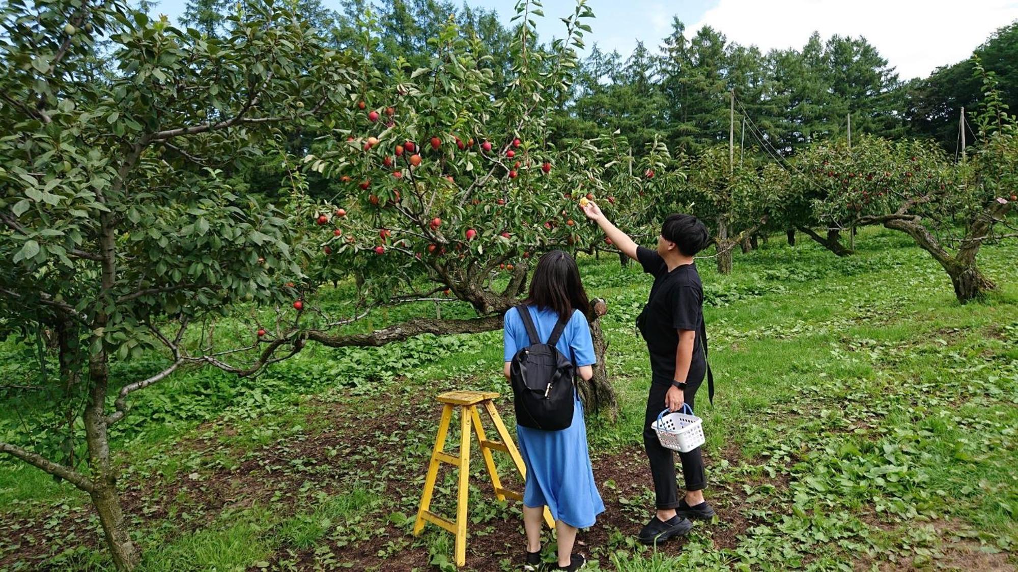 Sea Side Stay / Vacation Stay 1785 Abashiri Esterno foto